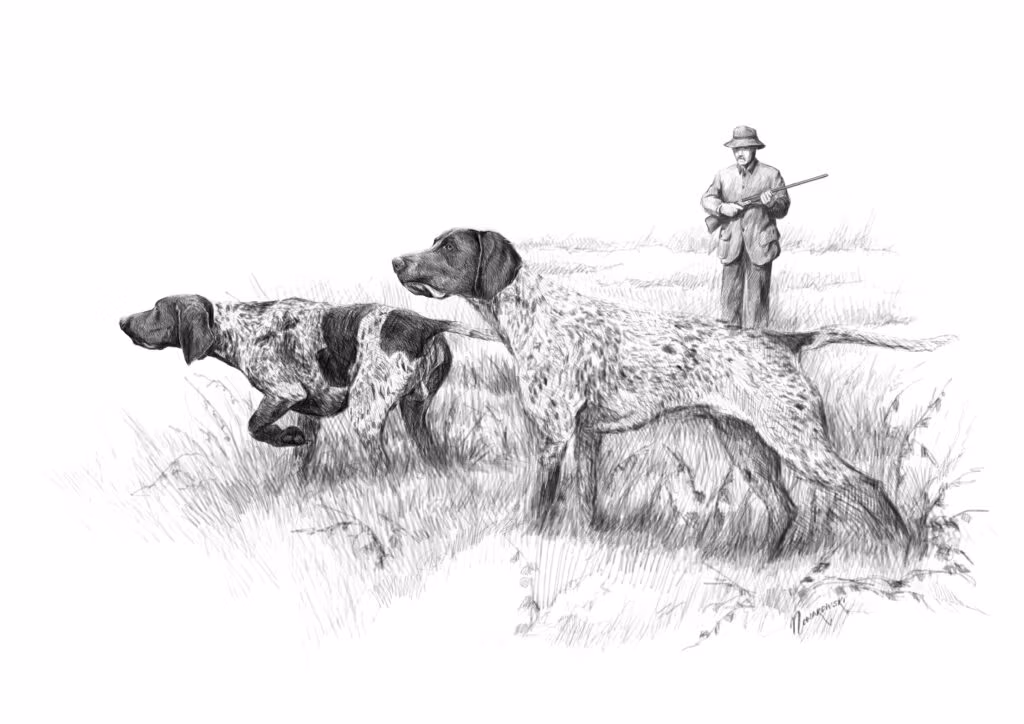 Gospodarz